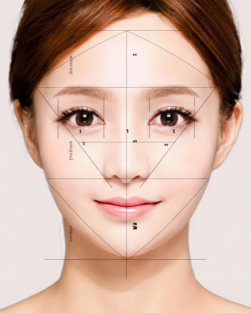 얼굴라인 및 비례 분석