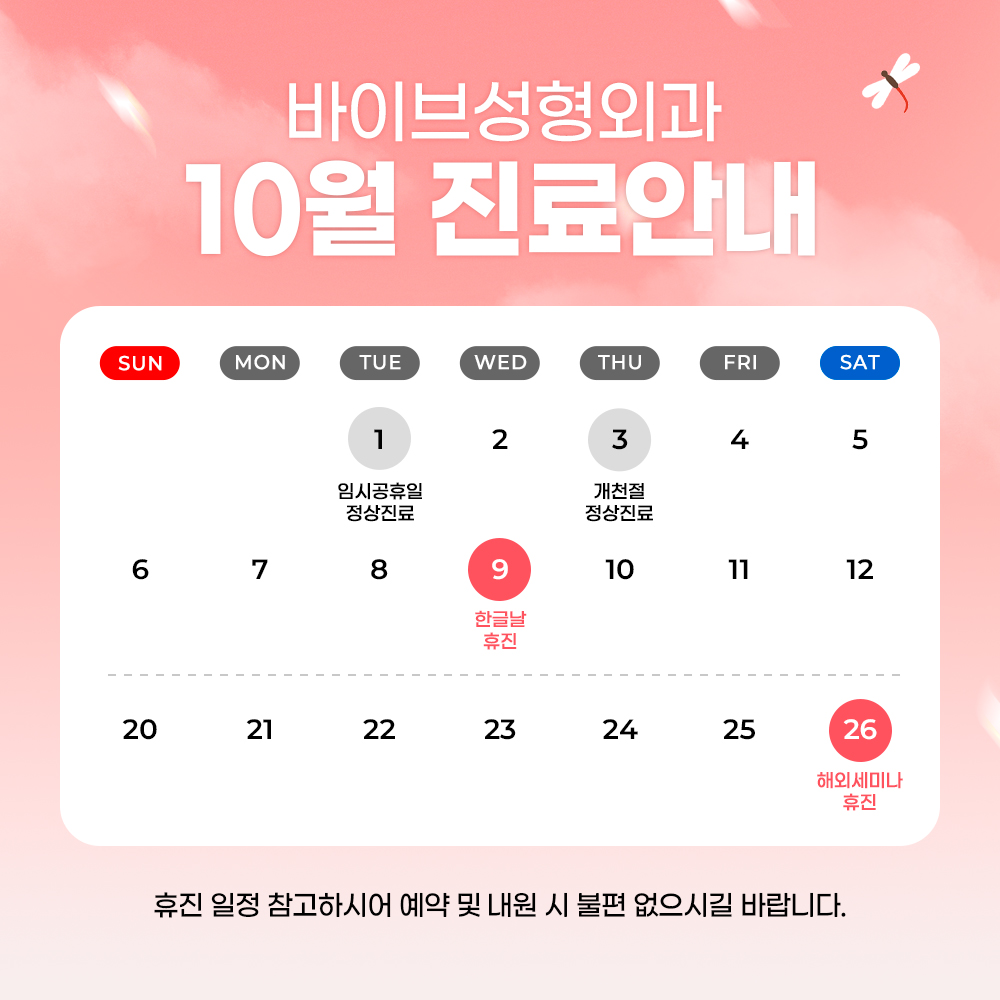 바이브 성형외과 10월 진료 일정