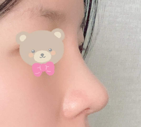 복코랑 이별했어요~!