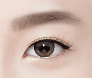 눈썹하거상술 Step 04