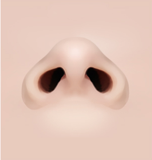 콧볼축소 Step 01