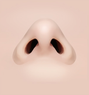 콧볼축소 Step 04